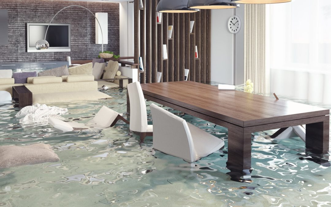 Sump Pumps and Battery Back Ups: Your Best Friends During a Flood