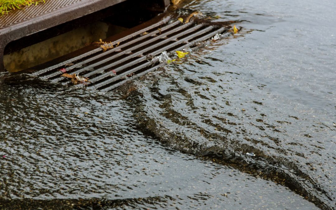 Hazards of Sewer Backups in Your Home