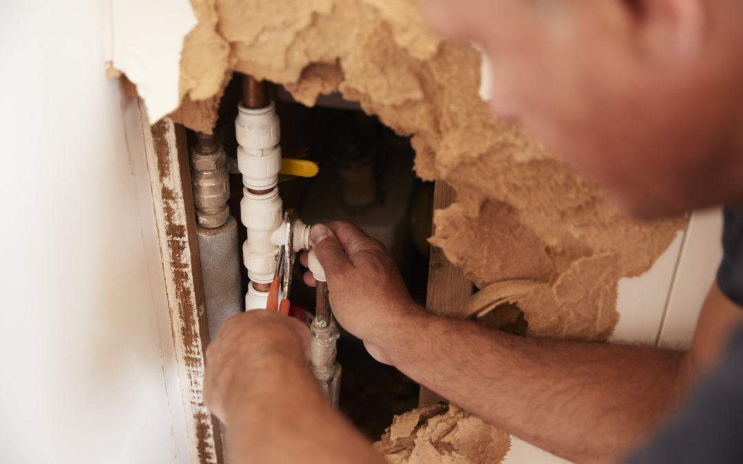 Can You Prevent Pipe Problems Before They Start?