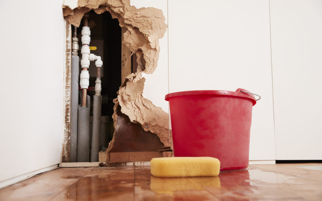 What to Do if You Know Your Home Has Old Pipes