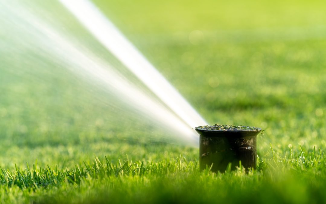 Plumbing Problems to Watch for as You Start Your Summer Lawn Care