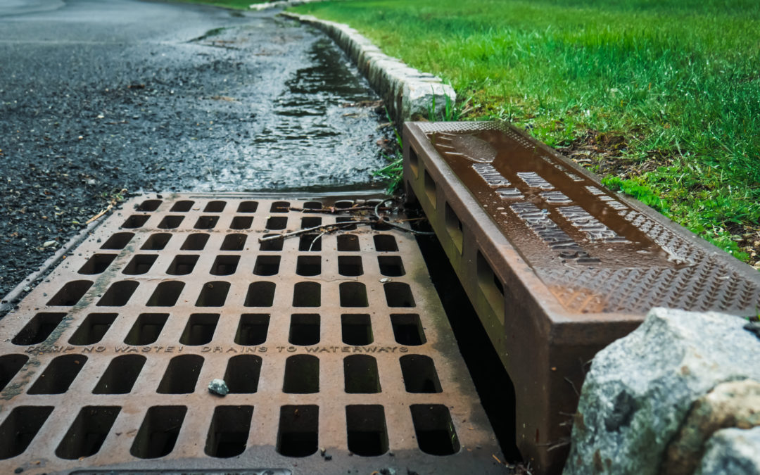 What to Look for in a Sewer Company