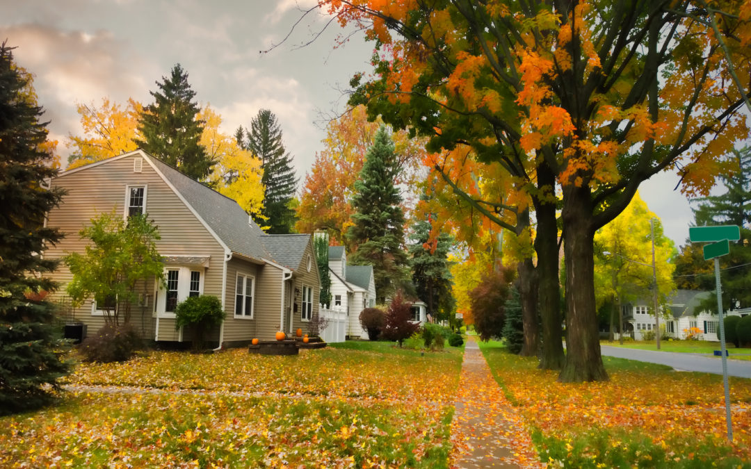 How to Prevent Common Autumn Plumbing Issues