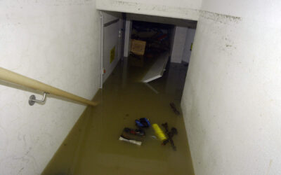 How Much Does Sewer Backup Restoration Cost?