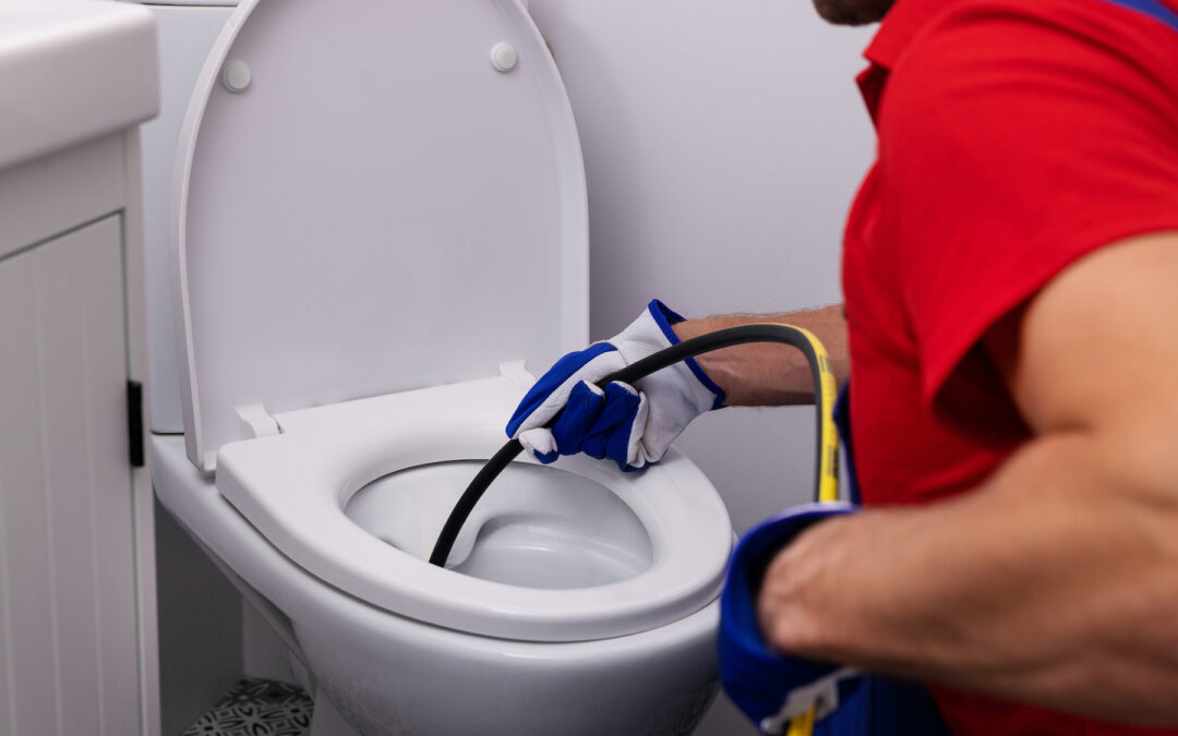 7 Ways to Keep Toilet Clogs to a Minimum