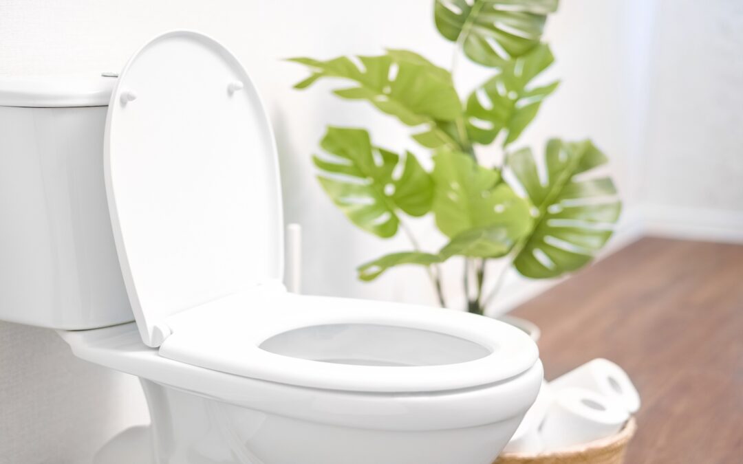 Is Your Toilet Running? Quick Fixes and Knowing When to Call for Help