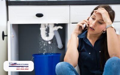 How to Identify a Plumbing Leak Before It Becomes a Disaster
