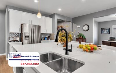 How Chicagoland Water Slowly Destroys Your Modern Appliances